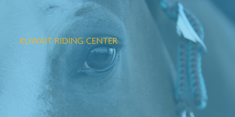 Freelancer's Portfolio Cover Image - Noura AlMannaie - Videography