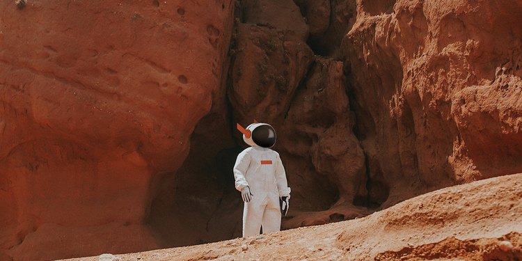 Freelancer's Portfolio Cover Image - Studio AIO - Graphic Design