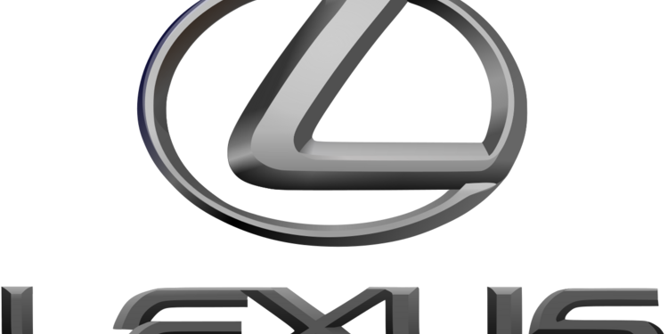 Freelancer's Portfolio Cover Image - Maisaa AlShami - TV commercials