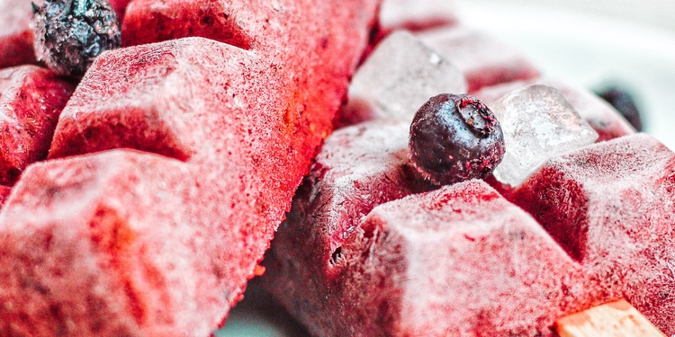 Freelancer's Portfolio Cover Image - Sara Bnt Khalid  - Photography