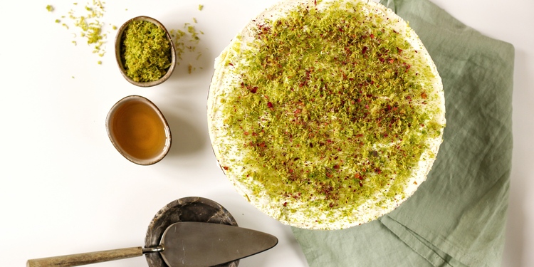 Freelancer's Portfolio Cover Image - Sara Bnt Khalid  - Photography