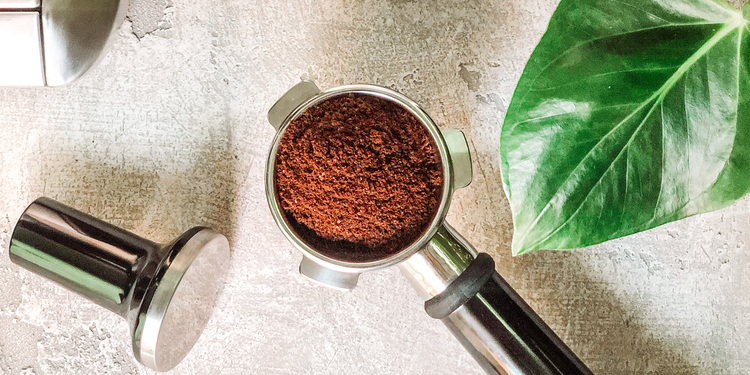 Freelancer's Portfolio Cover Image - Sara Bnt Khalid  - Photography