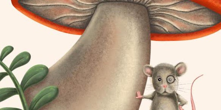 صورة غلاف مشروع المبدع المستقل - سارة جراغ - الرسوم التوضيحية