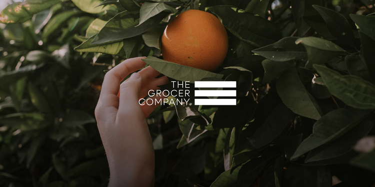 Freelancer's Portfolio Cover Image - Perfect Design Firm  - Graphic Design