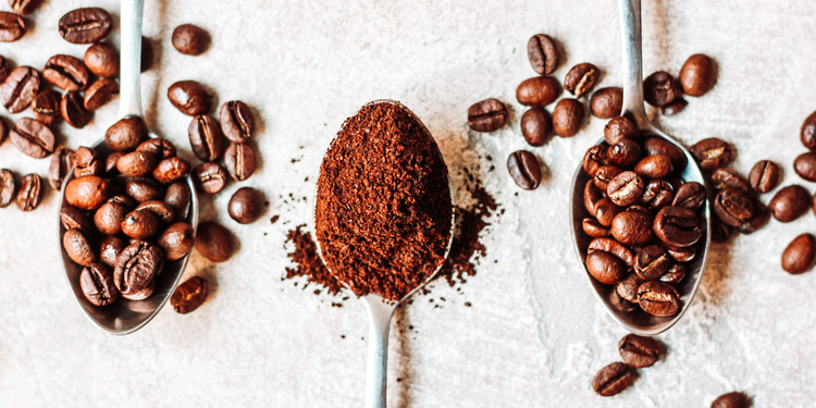 Freelancer's Portfolio Cover Image - Sara Bnt Khalid  - Photography