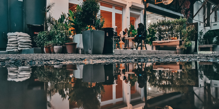 Freelancer's Portfolio Cover Image - Sara Bnt Khalid  - Photography