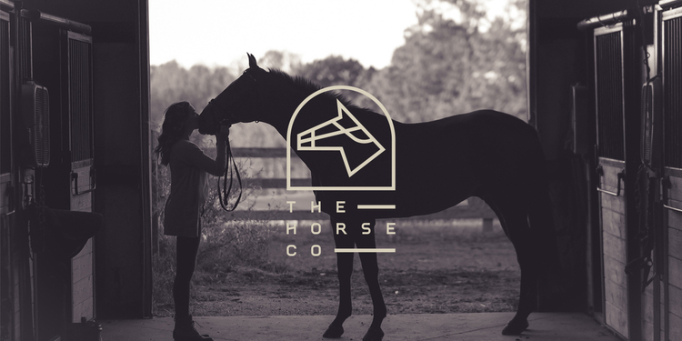 Freelancer's Portfolio Cover Image - Studio AIO - Branding