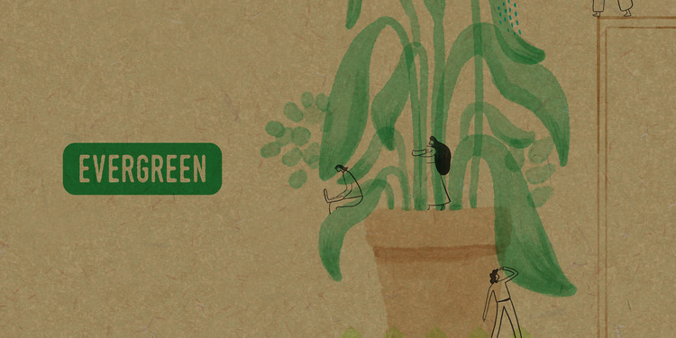 Freelancer's Portfolio Cover Image - Taher Wadkar - Illustrations