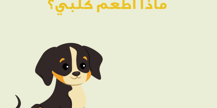 صورة غلاف مشروع المبدع المستقل - Mohamed Omar Smeismeh - الأنيميشن