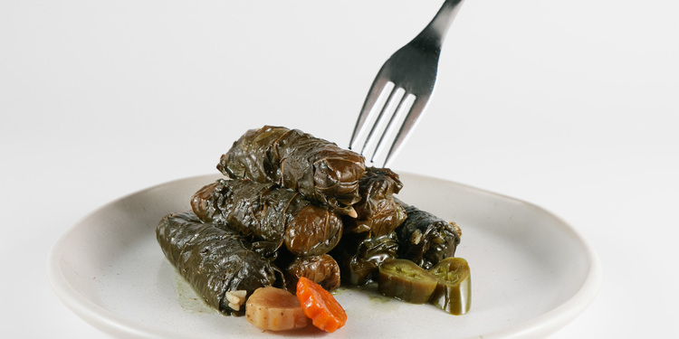 Freelancer's Portfolio Cover Image - Maryam Abdullah  - Photography