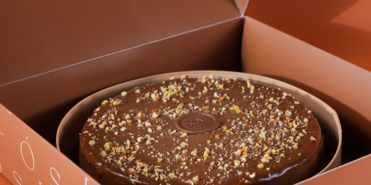 Freelancer's Portfolio Cover Image - Maryam Abdullah  - Photography