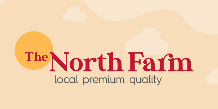 Freelancer's Portfolio Cover Image - Sara Al-Khalaf - Graphic Design