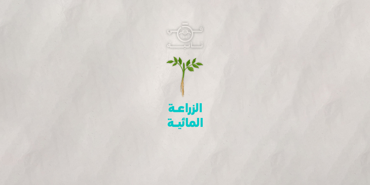 Freelancer's Portfolio Cover Image - DUKEMOD - Animation