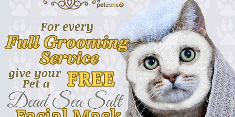 صورة غلاف مشروع المبدع المستقل - Mohamed Omar Smeismeh - محتوى حسابات التواصل الاجتماعي