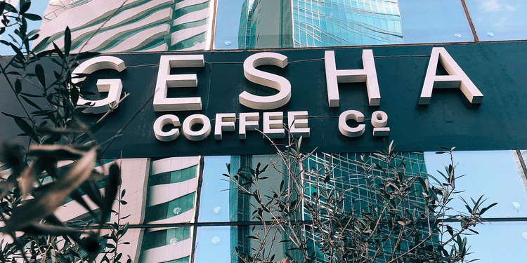 Freelancer's Portfolio Cover Image - Sara Bnt Khalid  - Photography