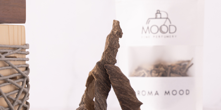 Freelancer's Portfolio Cover Image - HD Agency - Photography