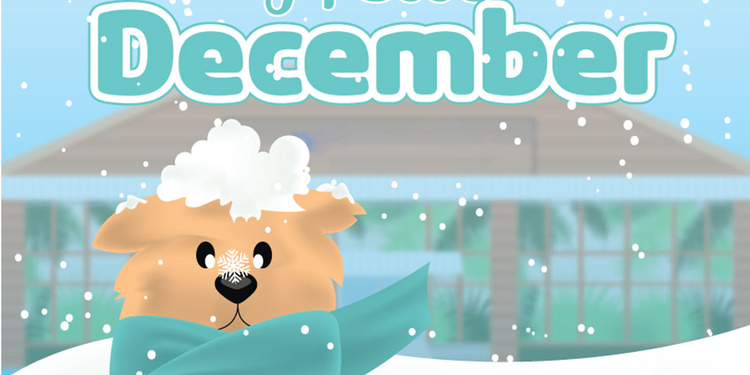 صورة غلاف مشروع المبدع المستقل - Mohamed Omar Smeismeh - محتوى حسابات التواصل الاجتماعي