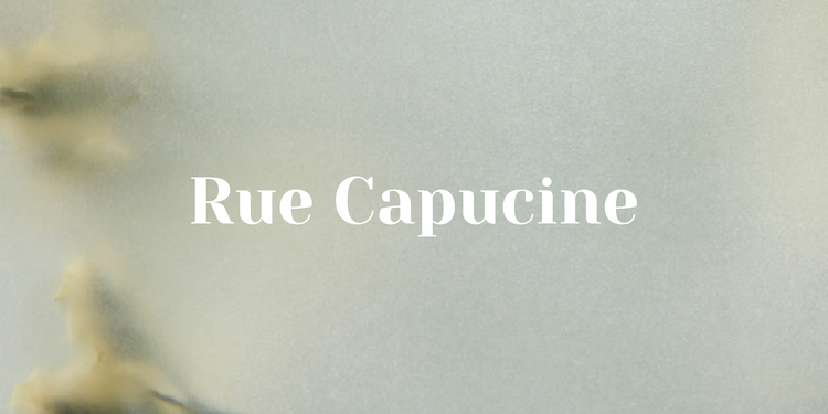 Freelancer's Portfolio Cover Image - Rita Azar - Graphic Design