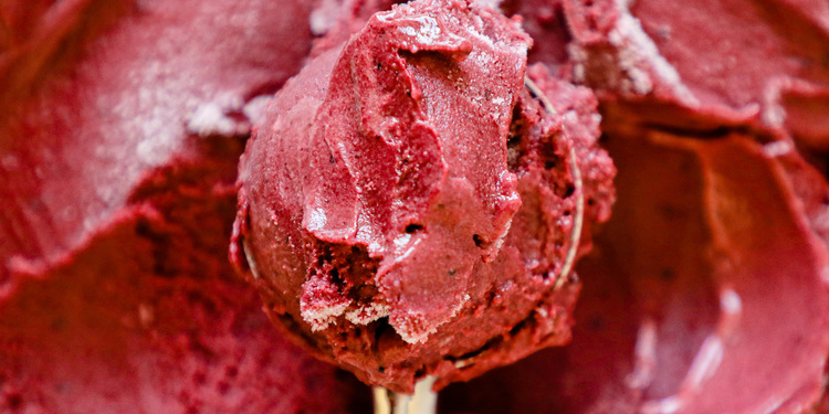 Freelancer's Portfolio Cover Image - Sara Bnt Khalid  - Photography