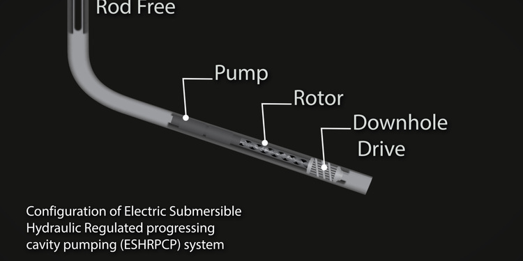 Freelancer's Portfolio Cover Image - DUKEMOD - Animation